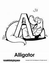 Alligator Coloring Pages Printable Alligators Alphabet sketch template