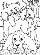 Dogs Cats Coloring Pages Cat Dog Getdrawings Drawing sketch template