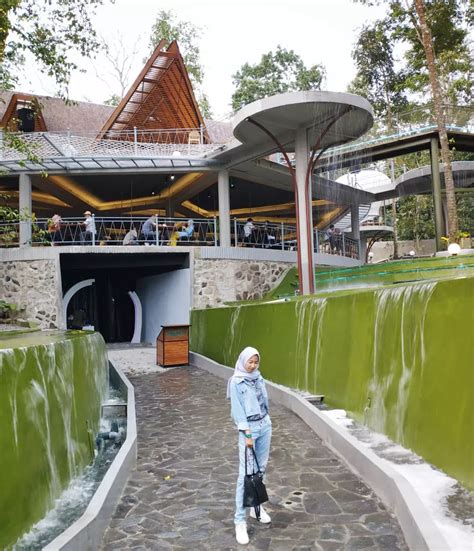 heha forest jogja harga tiket masuk spot foto  lokasi