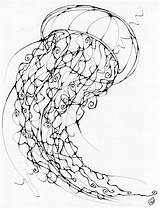 Jellyfish Drawing Realistic Line Coloring Pages Fish Drawings Jelly Getdrawings Inkblot Adult Tattoo Deviantart Choose Board sketch template