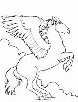 Pegasus Pegaso Pobarvanke Flying Cheval Cavallo Volant Konji Creatures Malvorlage Pegasos Konj Otroke Unicornios Página Lineart sketch template