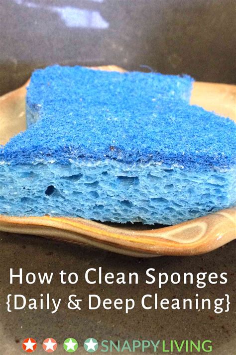 clean sponges daily deep cleaning  snappy living