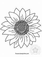 Sunflower Coloring Large Pages Flowers Templates Flowerstemplates sketch template