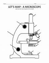 Microscope Map Let Science Choose Board Worksheets Grade Life sketch template