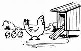 Chicken Coloring Pages Coop Chick Cartoon Enter Netart sketch template