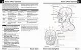 Netter Anatomia Cuaderno Dig Edicion sketch template