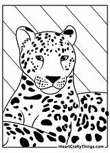 Leopards Iheartcraftythings sketch template