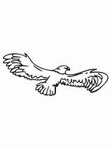 Eagle Wings Spread Bald Coloring Drawing Outline Getdrawings sketch template