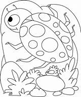 Coloring Pages Ladybug Printable Kids Insect Shell Egg Insects Preschoolers Lady Colouring Color Bird Rocks Getcolorings Comments sketch template