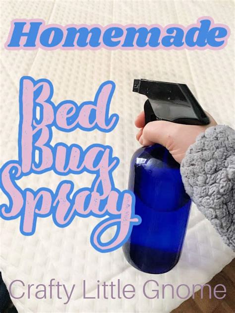homemade bed bug spray crafty  gnome