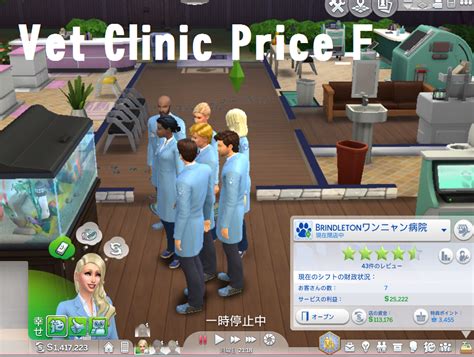 mod the sims vet clinic price f