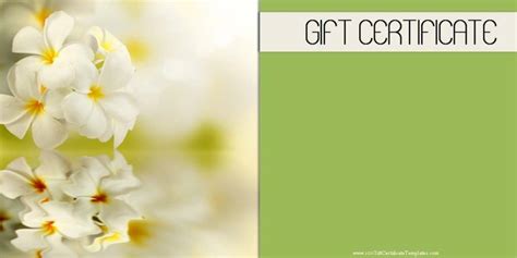 spa gift certificates  gift certificate templates