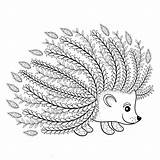 Hedgehog Igel Artistic Erwachsene Ausmalbild Zentangle Gezeichnet Grafiken Patterned Ornamental Pw sketch template