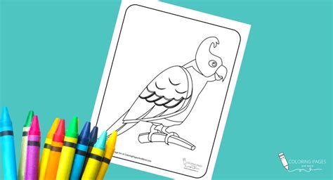 advanced coloring pages  older kids fun coloring pages  older