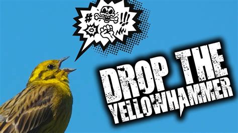 brexit  yellowhammer document drops youtube
