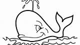 Humpback Whale Coloring Pages Getcolorings Color Getdrawings sketch template