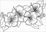 Coloring Flower Pages Hawaiian Template Printable Flowers Sampletemplatess sketch template