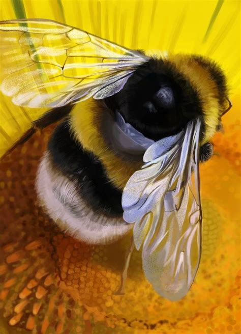study  bumblebee  xgingerwr  deviantart animals bee animals