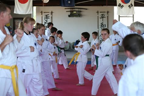 karate beginners 6yrs up te ashi kai shin karate do