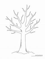 Tree Templates Printables Printable Drawing Print Color Leaves Shape Winter Without Coloring Size Same sketch template