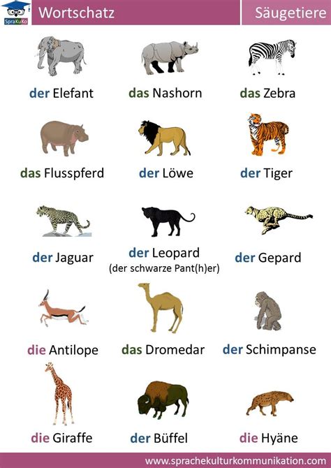 deutsch lernen wortschatz saeugetiere deutsch lernen
