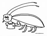 Cockroach Coloring Pages Colormegood Animals sketch template