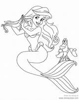 Coloring Ariel Sebastian Pages Mermaid Little Brushing Hair Her Disneyclips Disney Flounder Printable Eric Funstuff sketch template