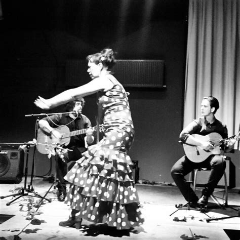 flamenco duo  la caye groningen groningen nederland professioneel profiel linkedin