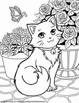Kleurplaten Poes Kleurplaat Katten Honden Kittens Schattige Poezen Hond Terborg600 Uitprinten Kleurboek Downloaden sketch template