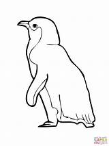 Penguin Coloring Pages Printable Outline Baby Drawing King Kids Little Color Animal Cliparts Print Clipart Getdrawings Clipartmag Fairy Getcolorings Emperor sketch template