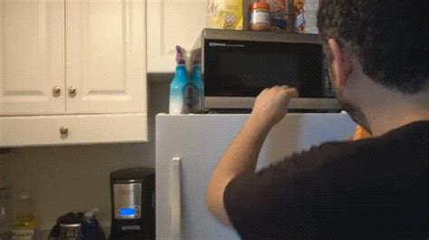 microwave shoves find and share on giphy