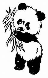 Baby Coloring Pages Panda Pandas Clipart sketch template