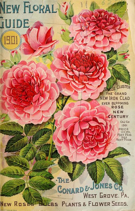 remodelaholic   printable vintage floral images