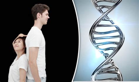 Height Explained Tall Genes Could Add An Inch To A