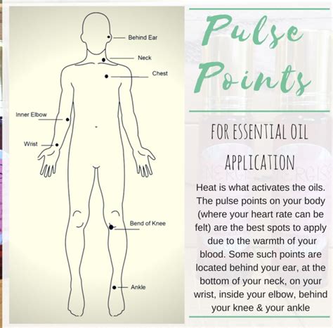 pin  andrea  essential oils tips blends  essential oils   apply pulse points