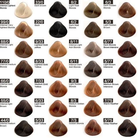 hair color chart  pieces hair color names hair color chart brown hair colors