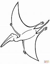 Pterodactyl Coloring Pages Drawing Printable Dinosaurs sketch template