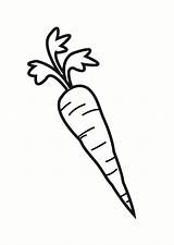Carrot Zanahoria Dibujo Colorear Para Carotte Wortel Coloriage Kleurplaat Fargelegge Clipart La Bilde Dessin Coloring Pages Dibujos Fargelegging Imprimir Imprimer sketch template