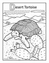 Desert Coloring Pages Tortoise Plants Animals Drawing Ecosystem Canyon Grand Habitat Kids Sulcata Colouring Printable Color Landscape Oasis Print Tortoises sketch template