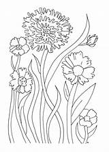 Printable Flower Flowers Color Coloring Pages Kids Printables sketch template