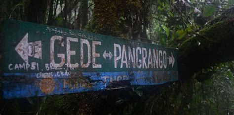 Ngeri Ini Misteri Gunung Gede Pangrango Dan 4 Mitos Yang Menggemparkan