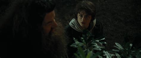 Harry Potter And The Goblet Of Fire Harry Potter Image 17193286