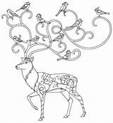 Coloring Pages Enchanted Forest Book Basford Adults Books Printable Mural Johanna Secret Garden Deer Sheets Christmas Examples Adult Color Print sketch template