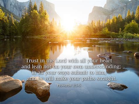proverbs    trust   lord    heart bible verse