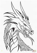 Coloring Pages Dragon Dragons Real Realistic Head Ninjago Simple Lovely Divyajanani sketch template
