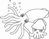 Squid Coloring Pages Cute Baby Undersea Realistic Themed Cartoon sketch template