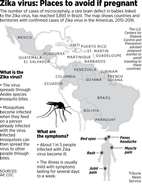 what you should know about the tropical zika virus in latin america