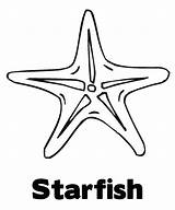 Coloring Starfish Pages Sea Star Drawing Line Healthy Kids Fish Getcolorings Getdrawings Printable Book Drawn Colorings sketch template