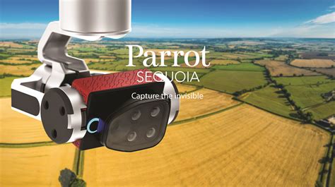 parrot sequoia la camera   euros pour drone qui simplifie la vie des agriculteurs