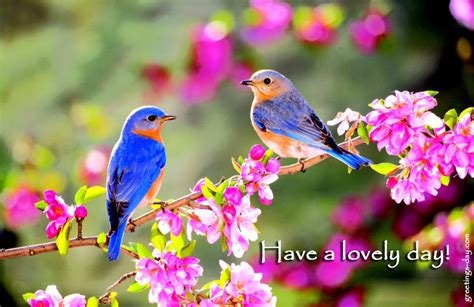 lovely day daily ecards wishes